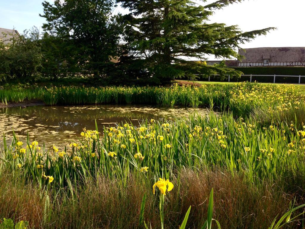 Résidences Le Clos du Manoir - Self Cooking Gauciel Exterior foto