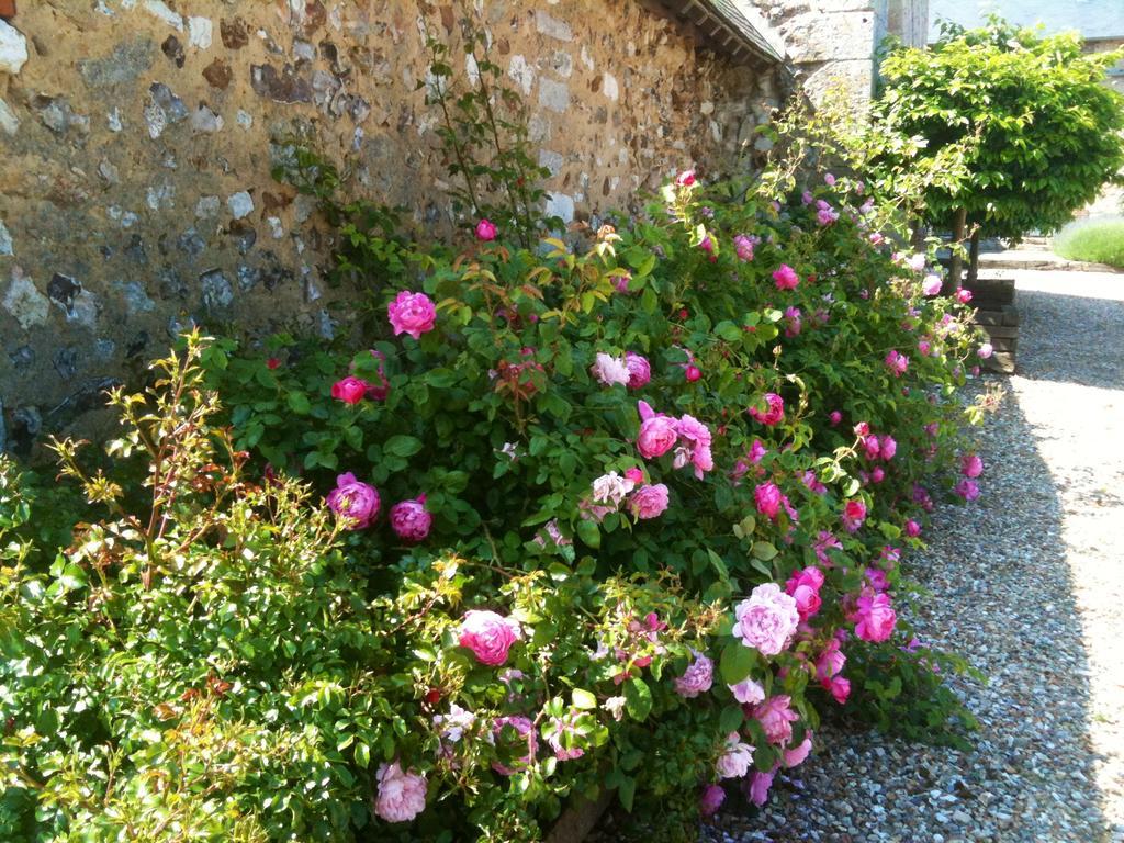 Résidences Le Clos du Manoir - Self Cooking Gauciel Exterior foto